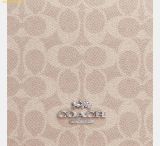  Túi Đeo Vai Coach Quinn Bag In Signature Canvas CZ770 Taupe 