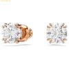  Bông Tai Swarovski Stilla stud earrings Round cut, White, Rose gold-tone plated 5638801 