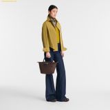  Túi Xách Longchamp Le Pliage Green S Handbag Mocha 