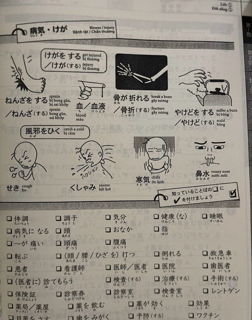 Củng cố kiến thức N3 (từ vựng kanji- ngữ pháp- đọc nghe)