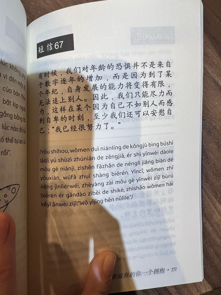 Gửi Cậu Một Cái Ôm Vì Đã Không Bỏ Cuộc - 送给不曾放弃的你一个拥抱 - Phiên Bản Song Ngữ Việt-Trung