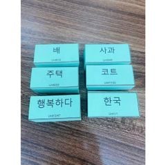 FLASHCARD TỪ VỰNG TIẾNG HÀN SƠ CẤP 1 971 từ vựng