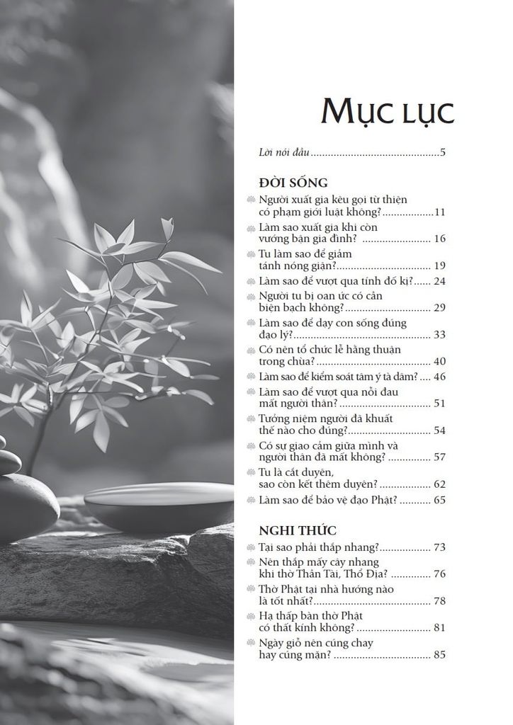 Lá Hoa Trên Đường Về