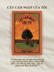 Cây Cam Ngọt Của Tôi