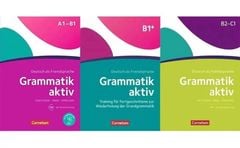 Grammatik Aktiv A1-C1