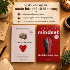 Combo : Trí tuệ xúc cảm + Tâm lý học thành công - Mindset