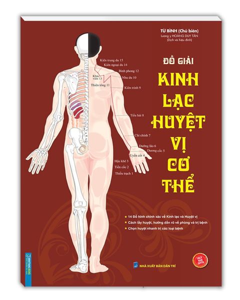 Kinh lạc huyệt vị cơ thể