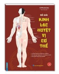 Kinh lạc huyệt vị cơ thể