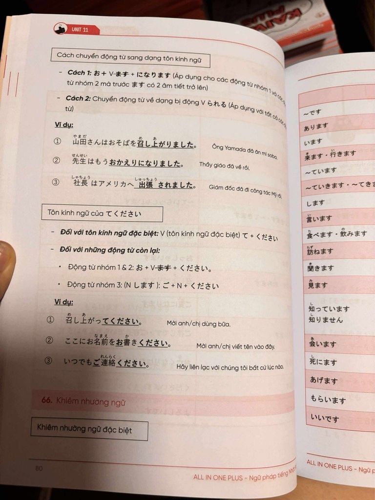 All One Plus-Từ vựng tiếng nhật từ N5-N1