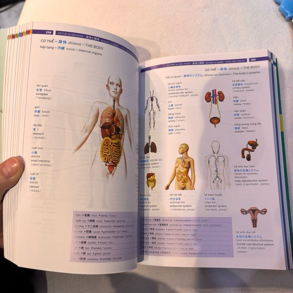 Pons General Reference - Trilingual Visual Dictionary Vietnamese - Japanese - English