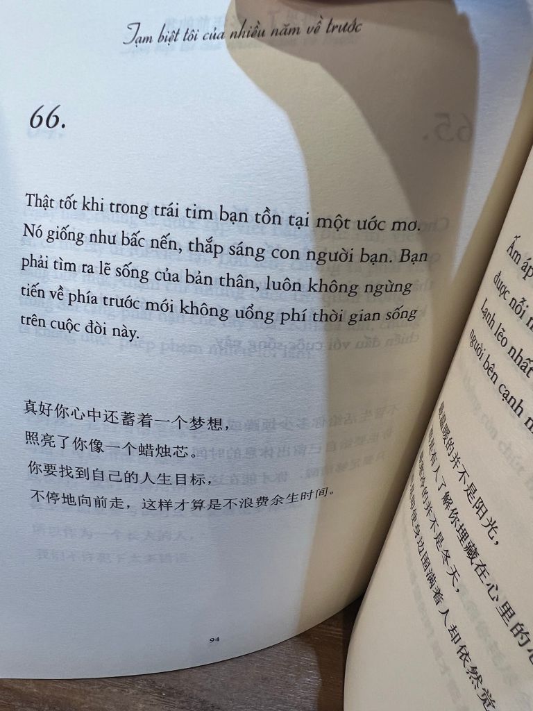 Tạm Biệt Tôi Của Nhiều Năm Về Trước ( Song ngữ Việt - Trung )