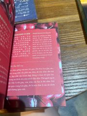 999 Lá Thư Gửi Cho Chính Mình - Những Lá Thư Ấn Tượng Nhất - Tập 2 (Phiên Bản Song Ngữ Trung-Việt)