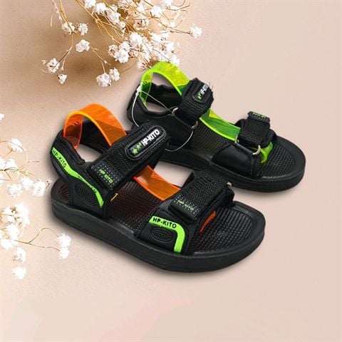  SANDAN 12 ĐẠI ĐẠI LÁ KITO 07-22.CƠ BẢN 