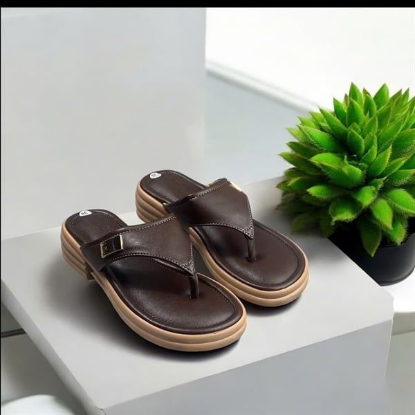 KẸP SI NỮ KA DM1 KHOÁ MIU 512 - NÂU