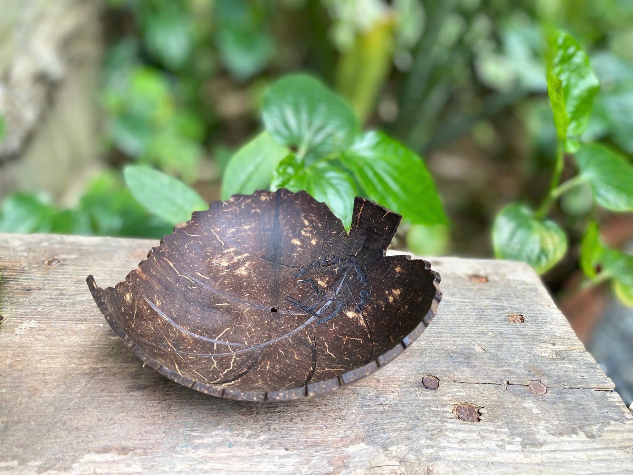  Khay gáo dừa đựng xà bông 