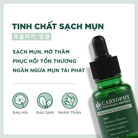 (NK) Serum Trị Mụn, Mờ Thâm Rau Má Caryophy Portulaca Ampoule 30ml (04/2028)