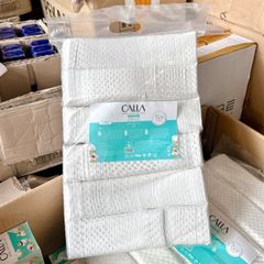 Bông Bạch Tuyết Calla Việt Nam