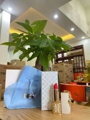 Son Nhung Lì Đông Y Whoo Mi Velvet Lip Rouge