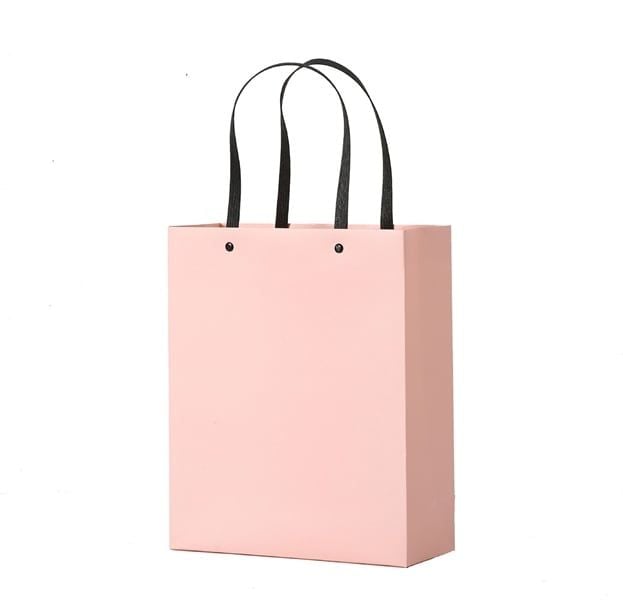 Túi Quà Thường Quai Nhựa