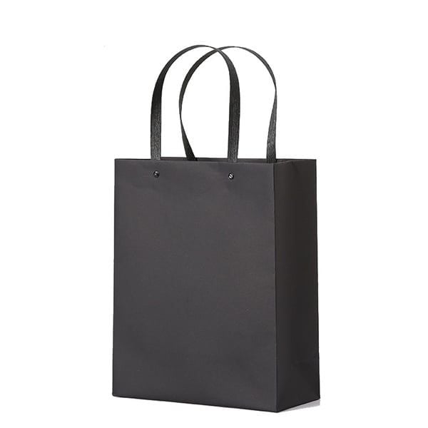 Túi Quà Thường Quai Nhựa