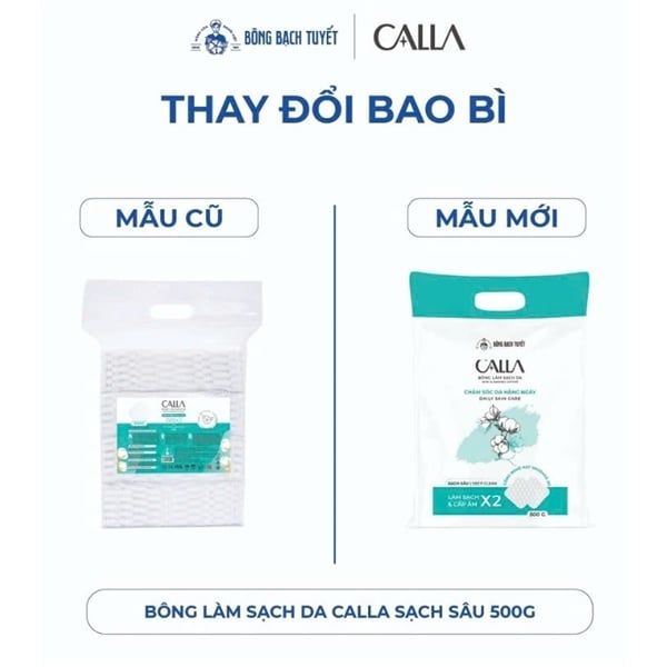 Bông Bạch Tuyết Calla Việt Nam