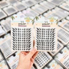 Mi Cụm Eyelash