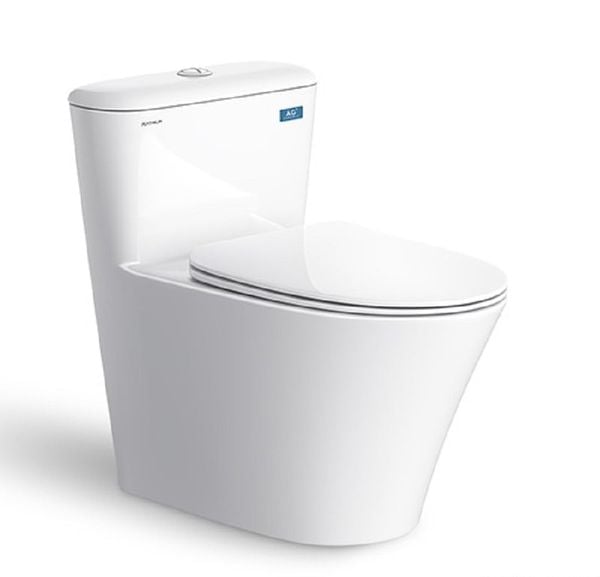 Bàn cầu 1 khối Viglacera Platinum P.11.450 Bùi Minh