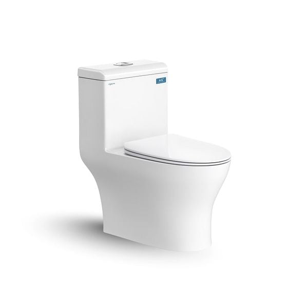 Bàn cầu 1 khối Viglacera V45 Bùi Minh