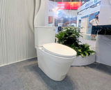  Bàn cầu 2 khối nắp êm Caesar CD1342 