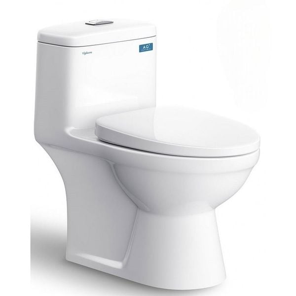  Bàn cầu 1 khối Viglacera BL5 