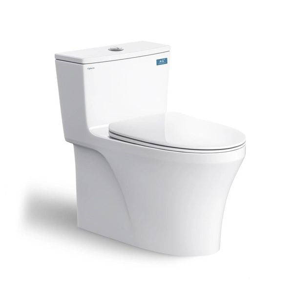 Bàn cầu 1 khối Viglacera HL2 - Bùi Minh