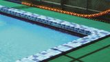  Gạch hồ bơi INAX 97/POL-B1,B2,B3 