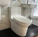  Bàn cầu 1 khối Sanfi S306 