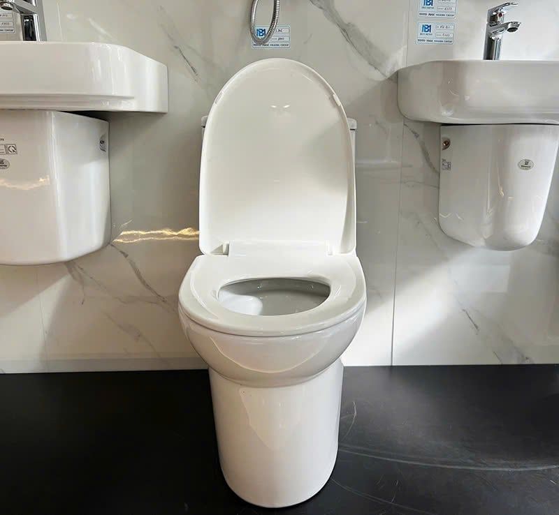  Bàn cầu 1 khối Sanfi S306 