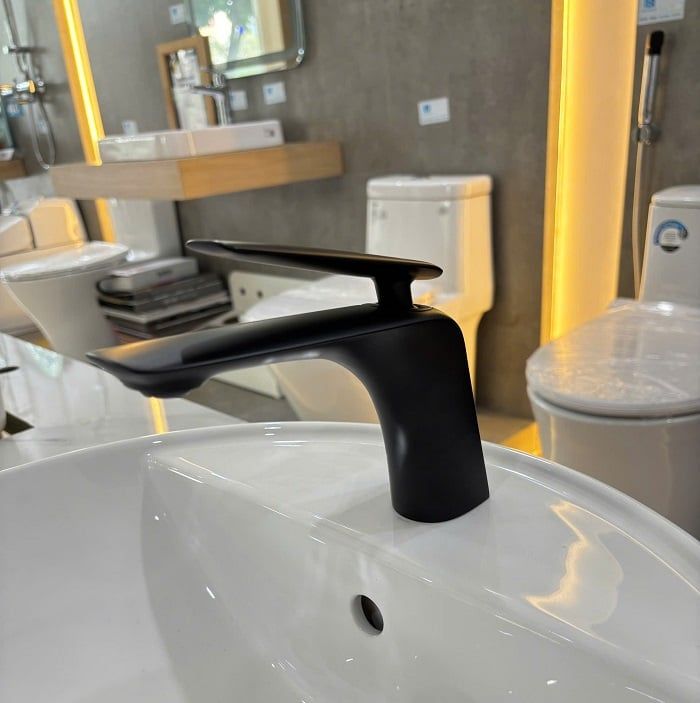  Vòi chậu rửa nóng lạnh Viglacera Platinum PV101.2 (P.51.326) 