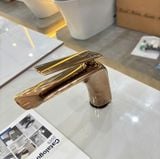  Vòi chậu rửa nóng lạnh Viglacera Platinum PV101.4 (P.51.328) 