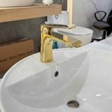  Vòi chậu Viglacera Platinum PV102.2 (P.51.357) 