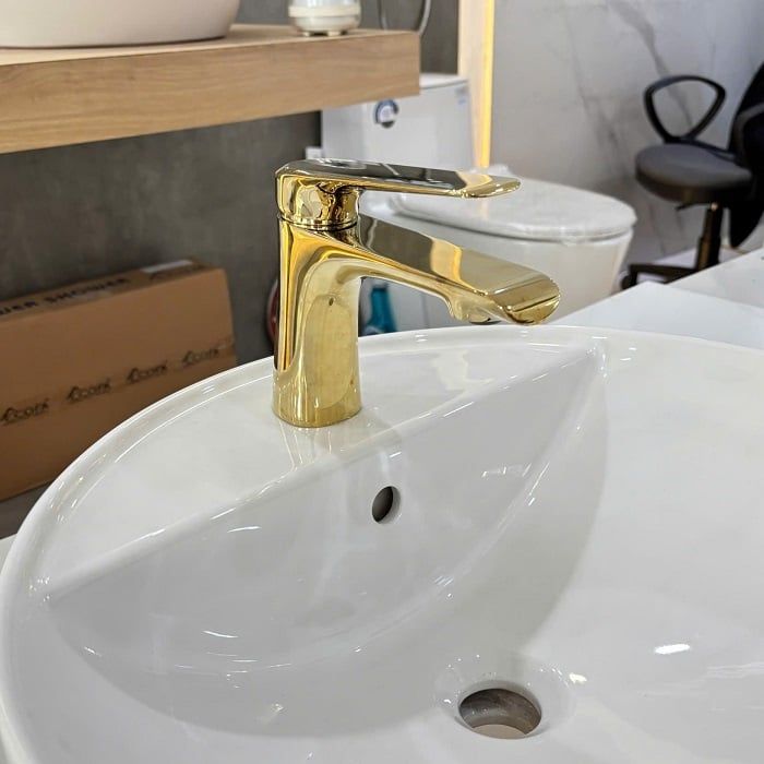  Vòi chậu Viglacera Platinum PV102.2 (P.51.357) 