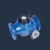 Đồng Hồ Nước Cỡ Lớn Đọc Xa Có Dây Shengda BULK-WIRED – Cho Đường Ống Chính - ảnh sản phẩm chính
