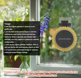  Cảm biến mưa và ánh sáng năng lượng mặt trời Tuya Zigbee THE01885 – Solar 2 trong 1, sạc tự động, chống nước IPX6 