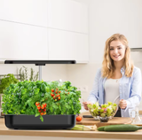  Máy Trồng Rau Thủy Canh Thông Minh 2502-Z20 – Đèn LED Điều Chỉnh Chiều Cao, Bình Nước 4L, Trồng Rau & Hoa Quả Trong Nhà 