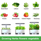  Máy Trồng Rau Thủy Canh Thông Minh Tuya WiFi 8 Hốc – Điều Khiển Qua Ứng Dụng, Đèn LED Tăng Trưởng, Tự Động Tưới Nước 