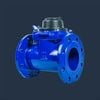 Đồng Hồ Nước Turbine Shengda TURBINE – Đo Lưu Lượng Nước Dạng Turbine - ảnh sản phẩm chính
