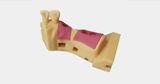  Máy In 3D Resin DLP Nha Khoa PioCreat D160 – Khổ 158×89×100mm, Điểm Ảnh 62μm 