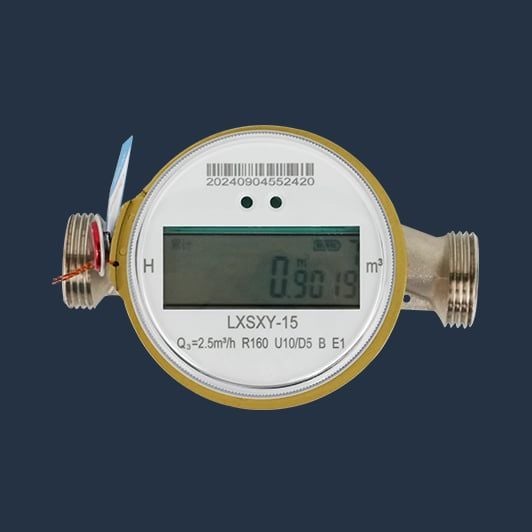  Đồng Hồ Nước Một Tia Shengda SINGLE-LORAWAN – Truyền Dữ Liệu LoRaWAN 