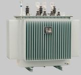  Máy biến áp phân phối ngâm dầu Delixi 11kV 