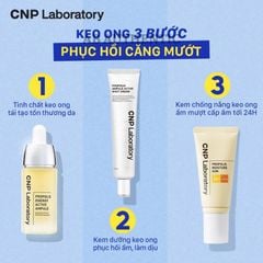 Kem chống nắng keo ong cấp ẩm cho da hỗn hợp thiên khô CNP Propolis Moisture Sun 50ml