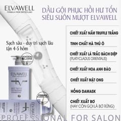 Cặp gội xả phục hồi hư tổn siêu suôn mượt Elvawell 500ml (tím)