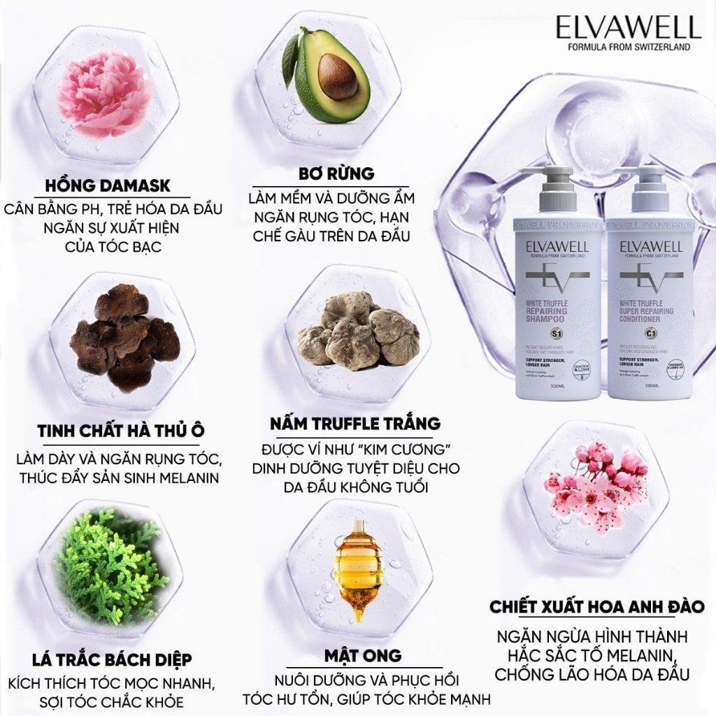 Cặp gội xả phục hồi hư tổn siêu suôn mượt Elvawell 500ml (tím)