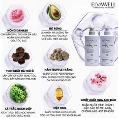 Cặp gội xả phục hồi hư tổn siêu suôn mượt Elvawell 500ml (tím)